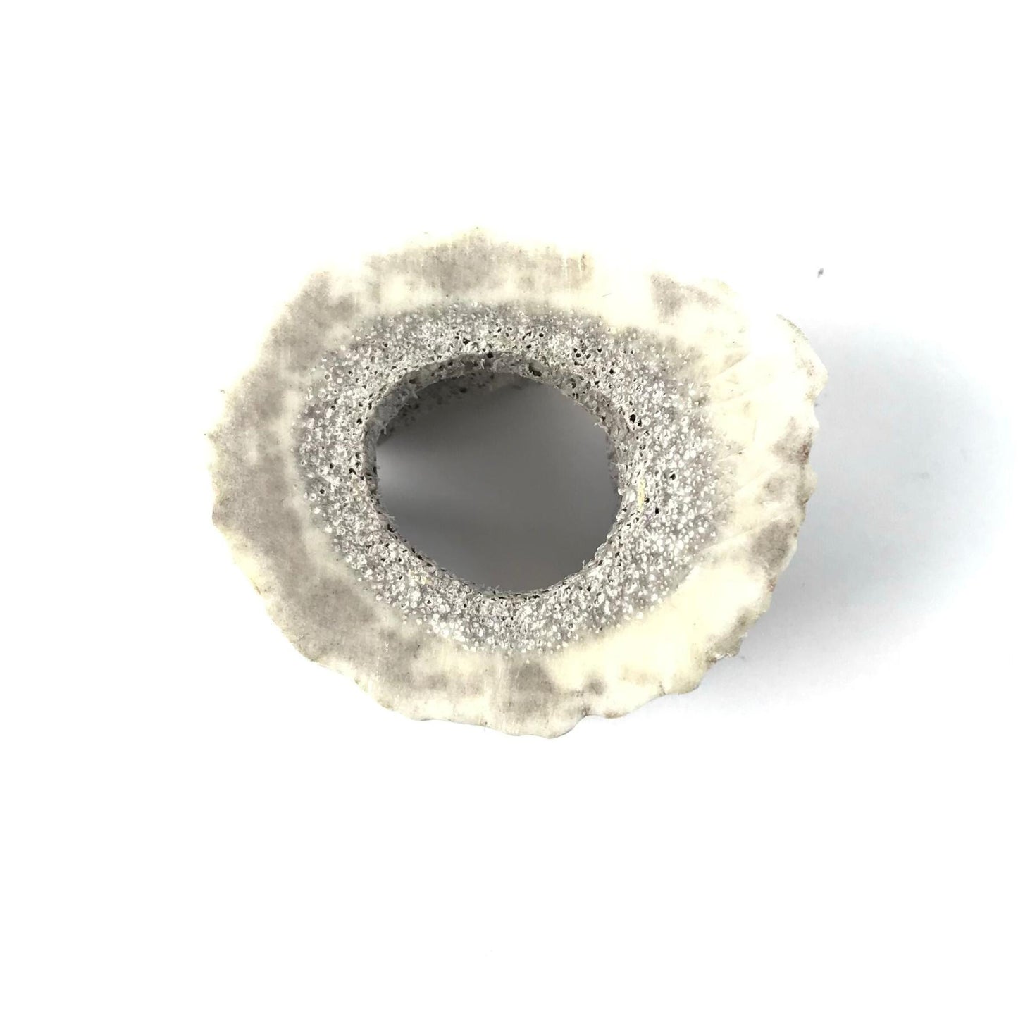 Max Laate Circle of Bears Fetish Carving-Indian Pueblo Store