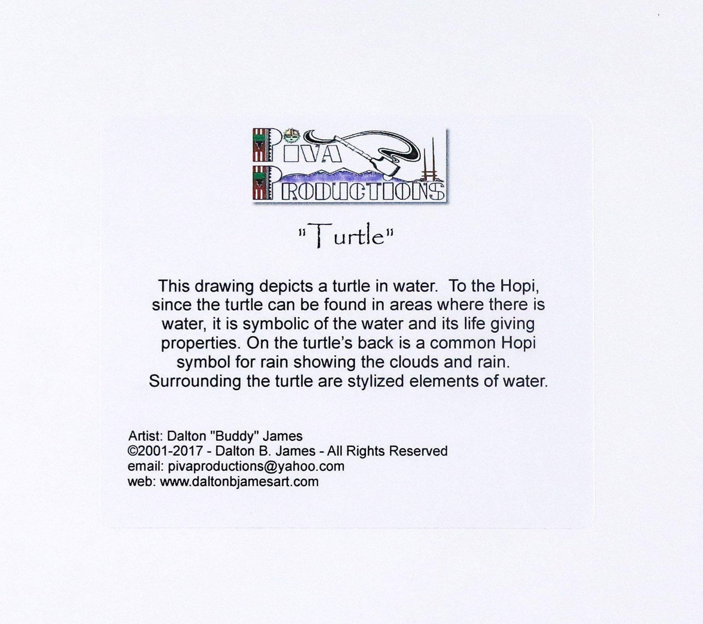 Dalton James Hopi Turtle Print - Shumakolowa Native Arts