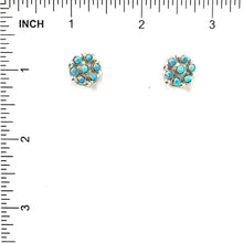 Load image into Gallery viewer, Small Snake Eye Cluster Earrings-Indian Pueblo Store
