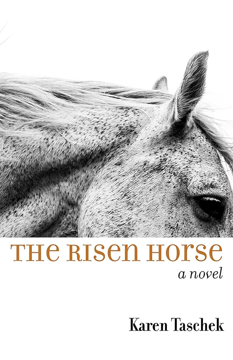 THE RISEN HORSE-Indian Pueblo Store
