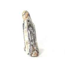 Load image into Gallery viewer, Cody Nastacio Onyx Falcon Fetish Carving-Indian Pueblo Store
