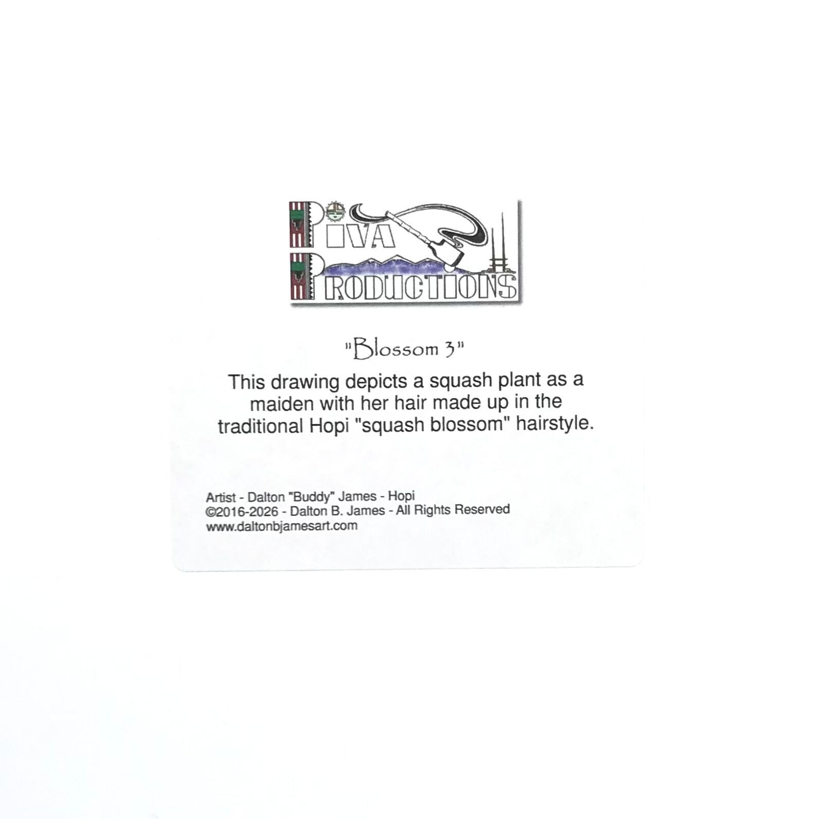 Dalton James Blossom 3 Print-Indian Pueblo Store