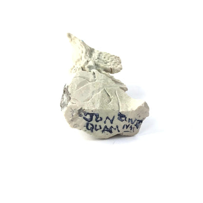 Eagle Ftsh-Fishrock-Indian Pueblo Store