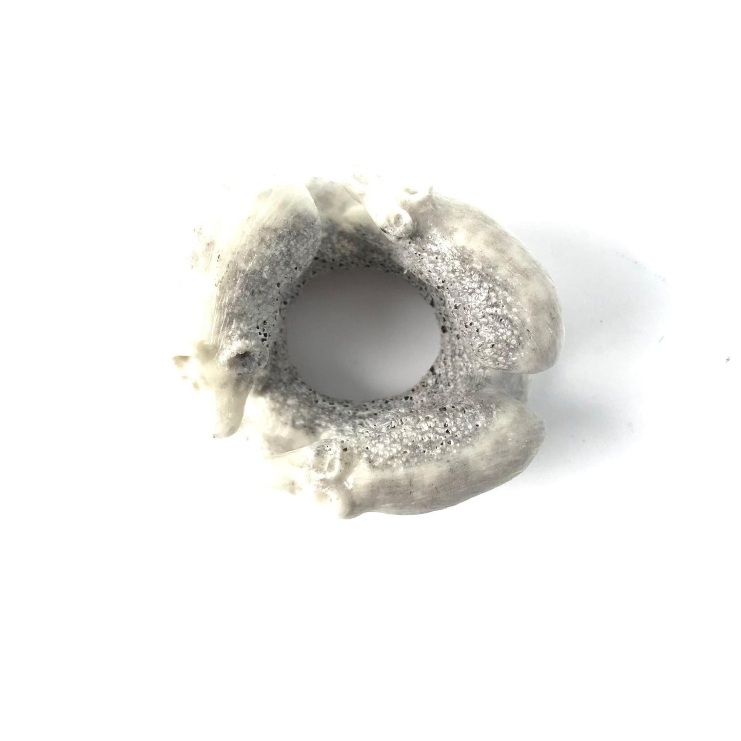 Max Laate Circle of Bears Fetish Carving-Indian Pueblo Store