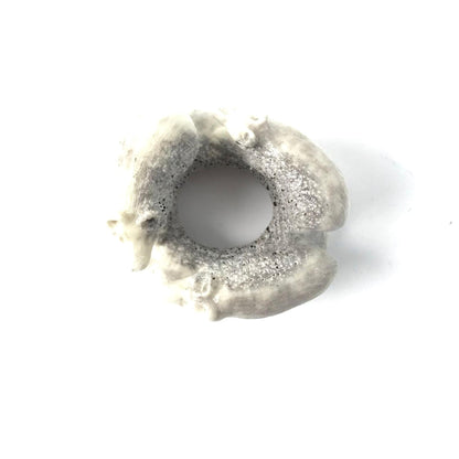 Max Laate Circle of Bears Fetish Carving-Indian Pueblo Store