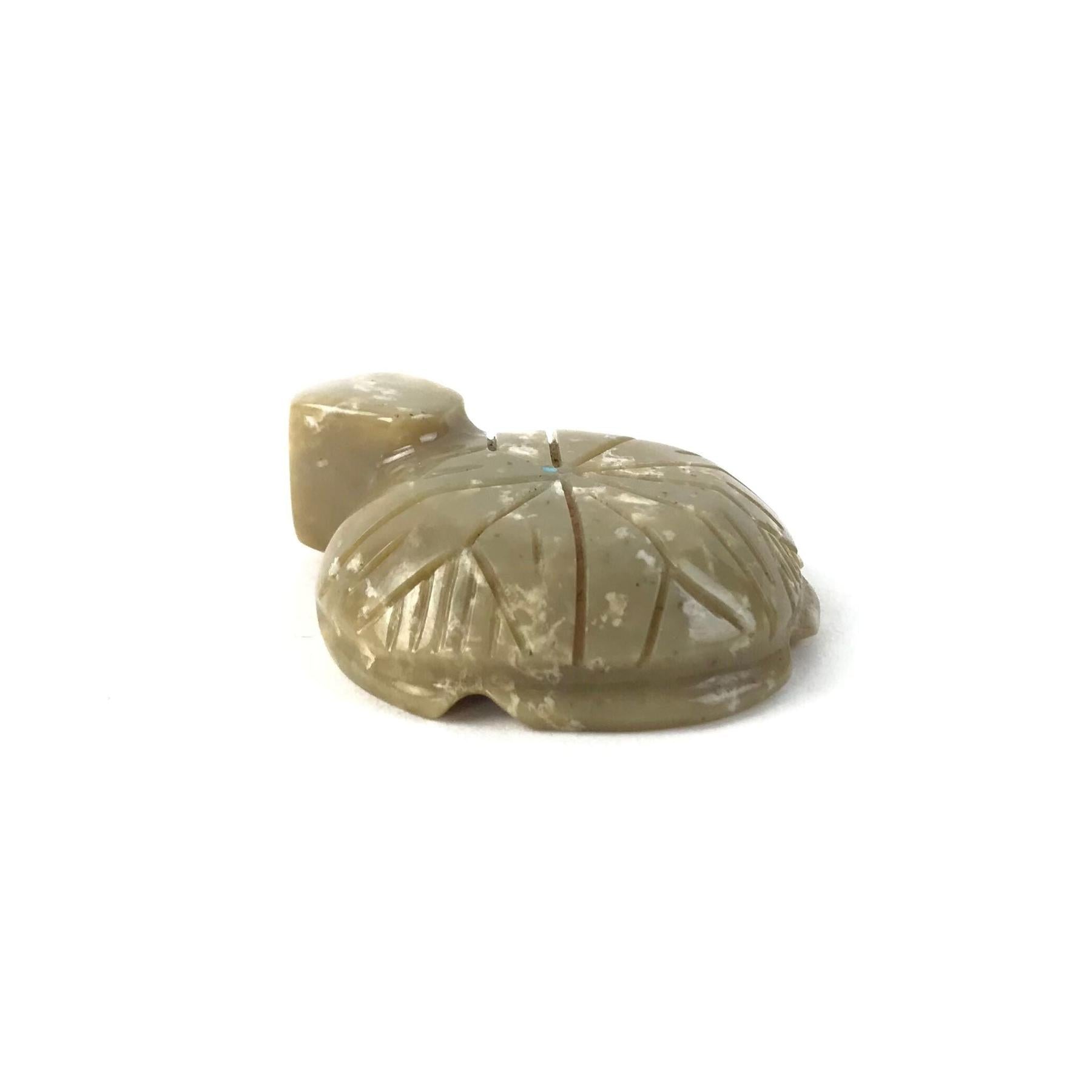 Ron Weekoty Serpentine Turtle Fetish Carving-Indian Pueblo Store