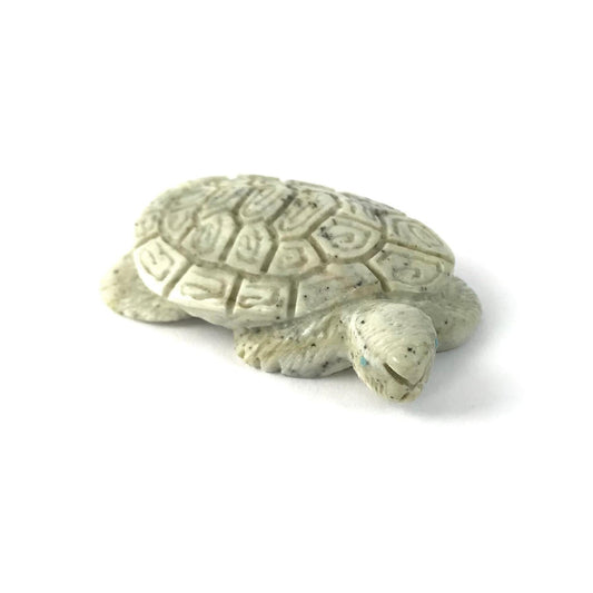 Delbert Cachini Serpentine Sea Turtle Fetish Carving-Indian Pueblo Store