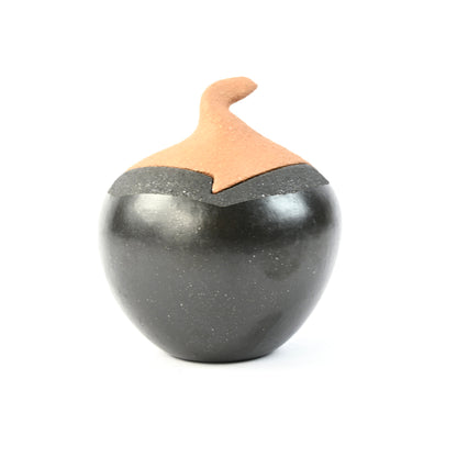 Glenn Gomez Pojoaque Small 2 Tone Seed of Life Bowl and Lid