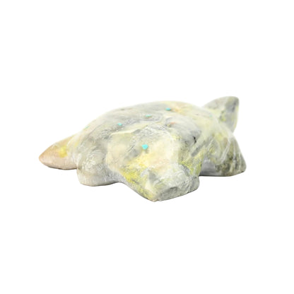 Lyndon Peynetsa Serpentine Turtle Fetish Carving-Indian Pueblo Store