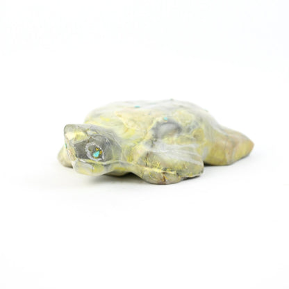 Lyndon Peynetsa Serpentine Turtle Fetish Carving-Indian Pueblo Store