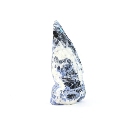 Cody Nastacio Sodalite Blue Jay Fetish Carving-Indian Pueblo Store