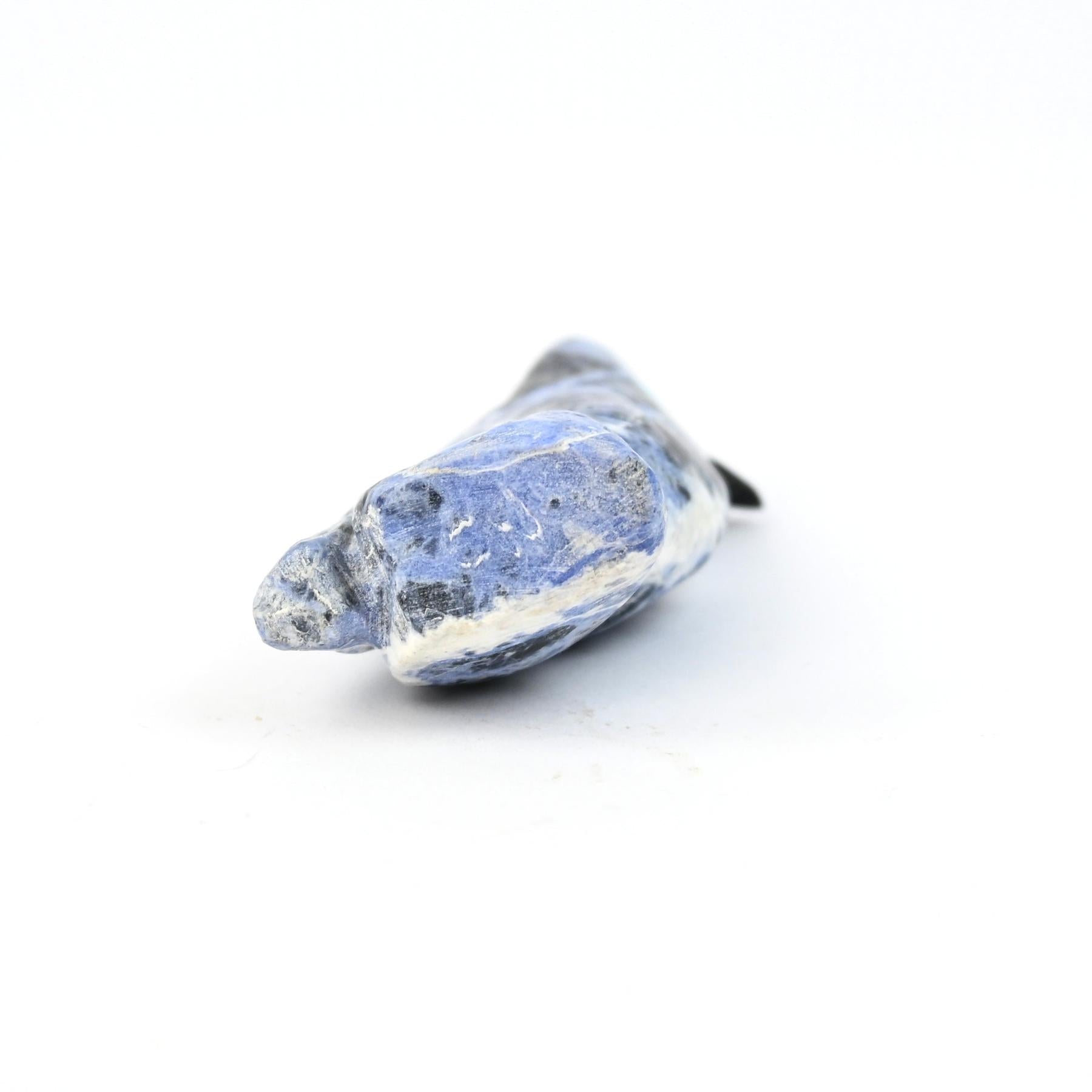 Cody Nastacio Sodalite Blue Jay Fetish Carving-Indian Pueblo Store