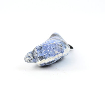 Cody Nastacio Sodalite Blue Jay Fetish Carving-Indian Pueblo Store