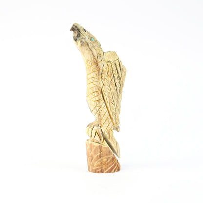 Jon Quam Antler Parrot Fetish Carving-Indian Pueblo Store