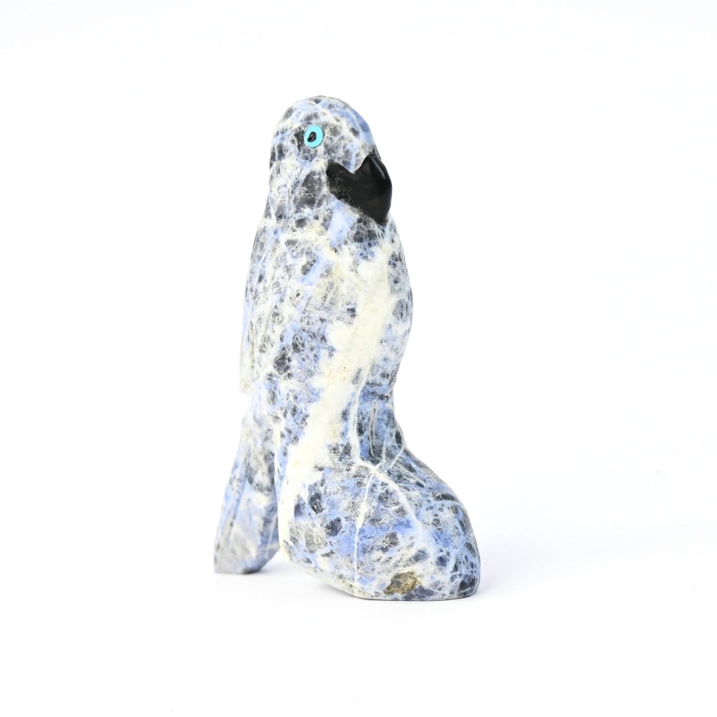 Cody Nastacio Sodalite Parrot Fetish Carving-Indian Pueblo Store