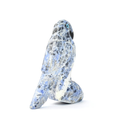 Cody Nastacio Sodalite Parrot Fetish Carving-Indian Pueblo Store