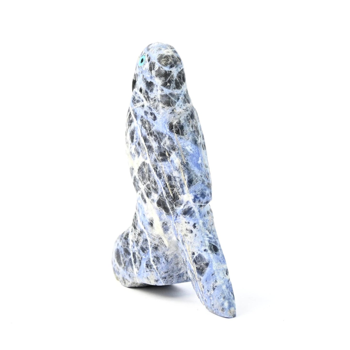 Cody Nastacio Sodalite Parrot Fetish Carving-Indian Pueblo Store