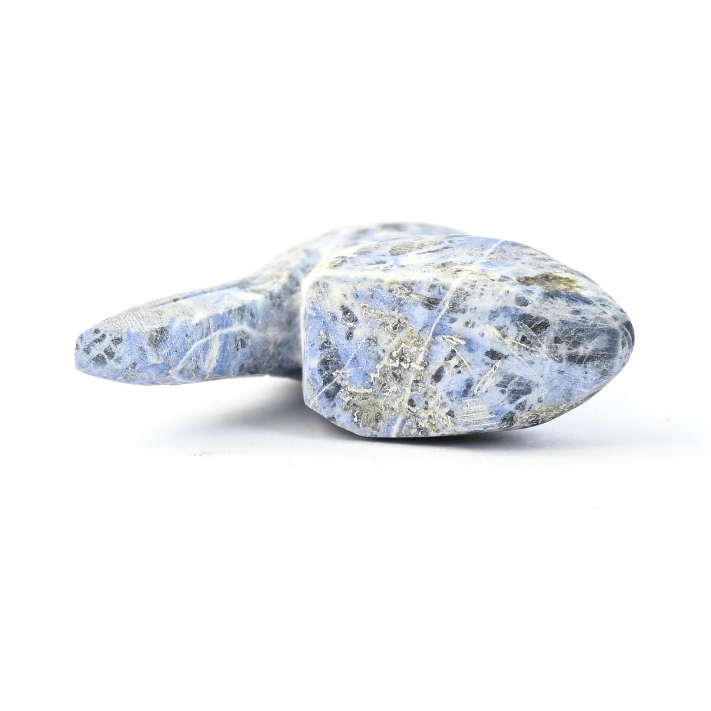 Cody Nastacio Sodalite Parrot Fetish Carving-Indian Pueblo Store