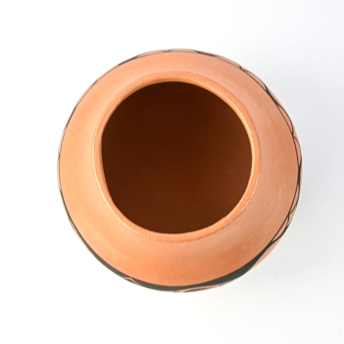 Johnny Cruz San Ildefonso Medium Micaceous Avanyu Bowl-Indian Pueblo Store