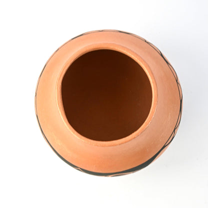 Johnny Cruz San Ildefonso Medium Micaceous Avanyu Bowl-Indian Pueblo Store