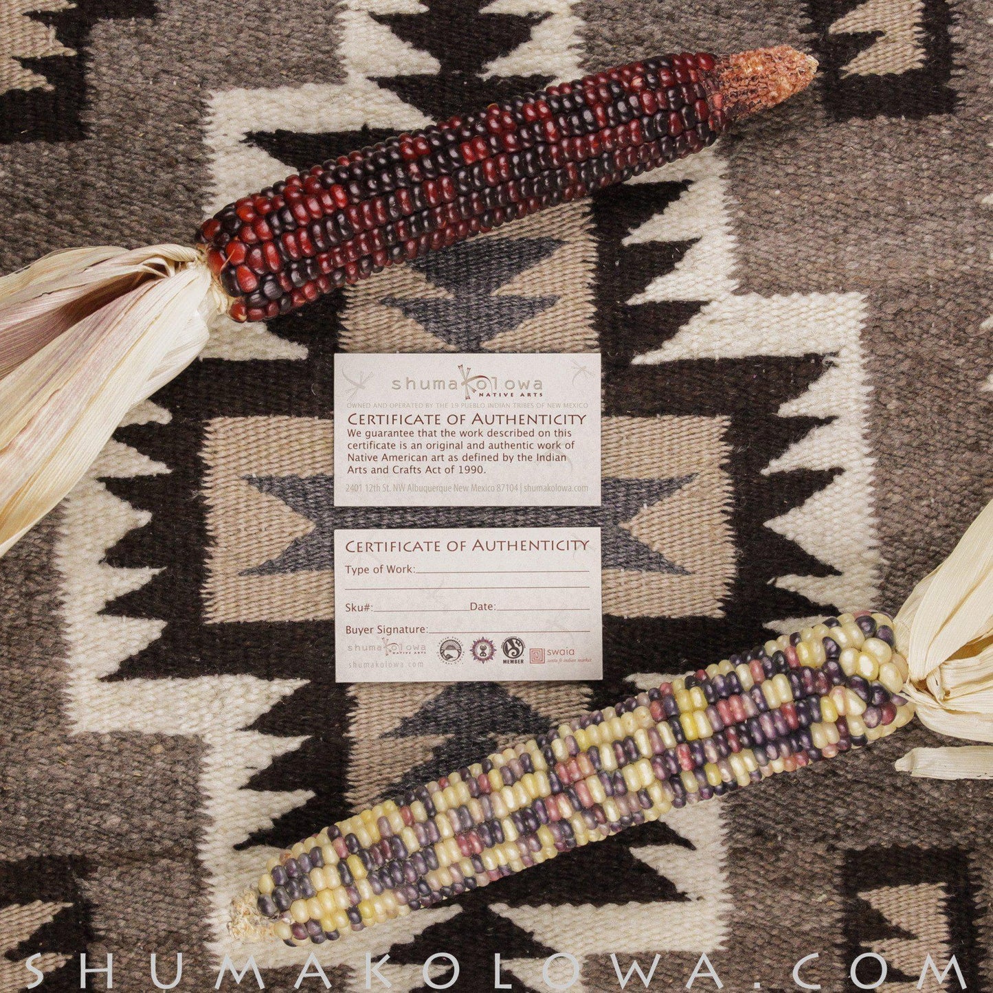 Tom Hawk Sterling Silver Channel Drop Earrings - Shumakolowa Native Arts