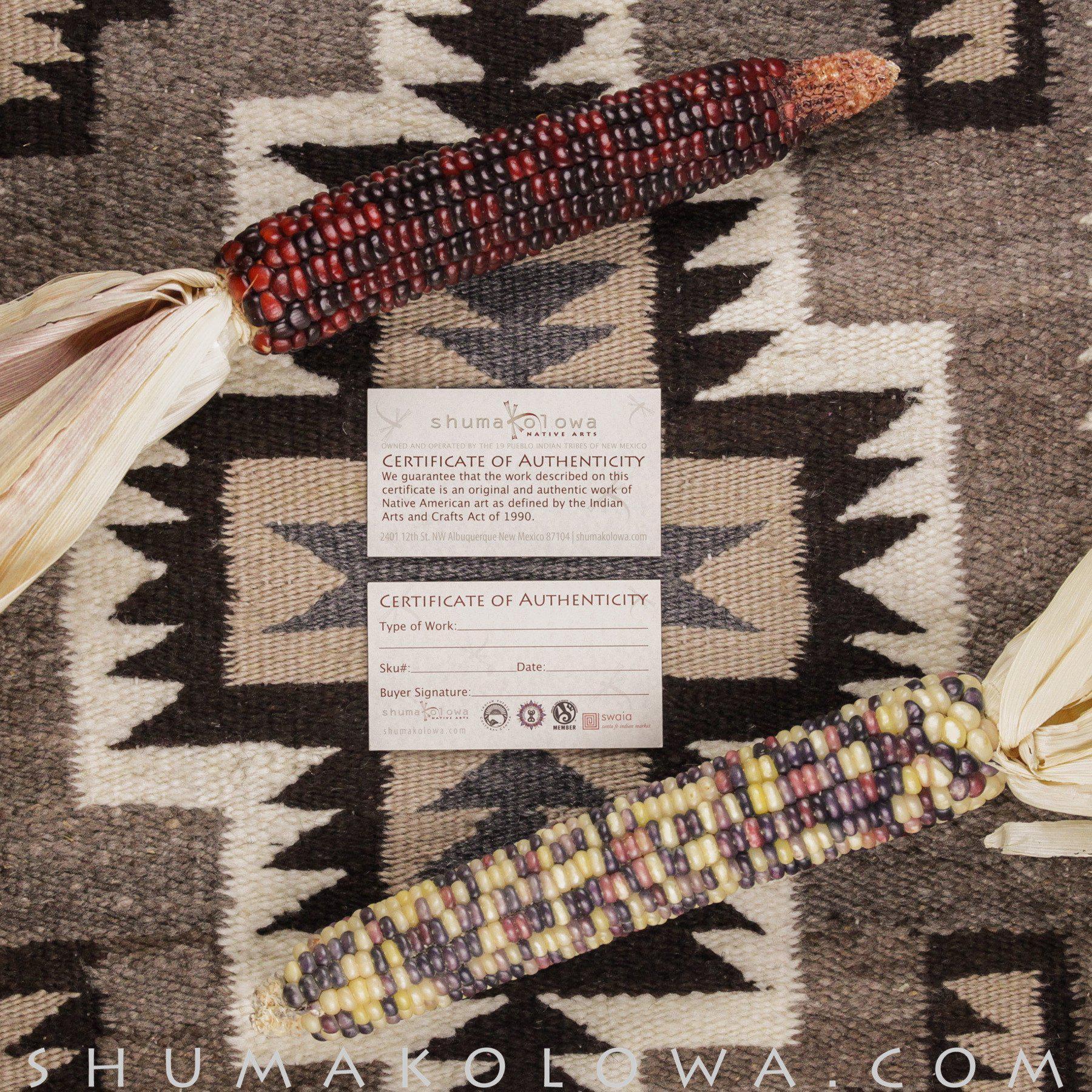 Tom Hawk Sterling Silver Channel Drop Earrings - Shumakolowa Native Arts