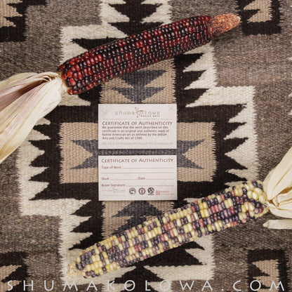 Tom Hawk Sterling Silver Channel Drop Earrings - Shumakolowa Native Arts